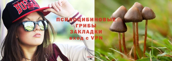винт Горнозаводск