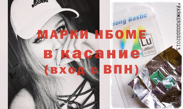 прущие грибы Вязники